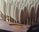 スポットの写真