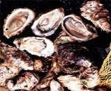 スポットの写真