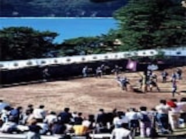 神鹿の角切り行事祭