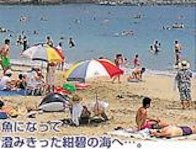 小田の浜海水浴場