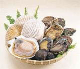 スポットの写真