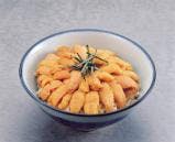 スポットの写真