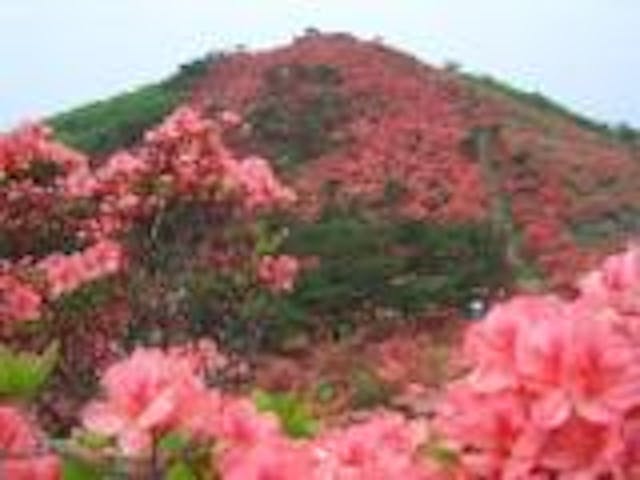 徳仙丈山（本吉側）