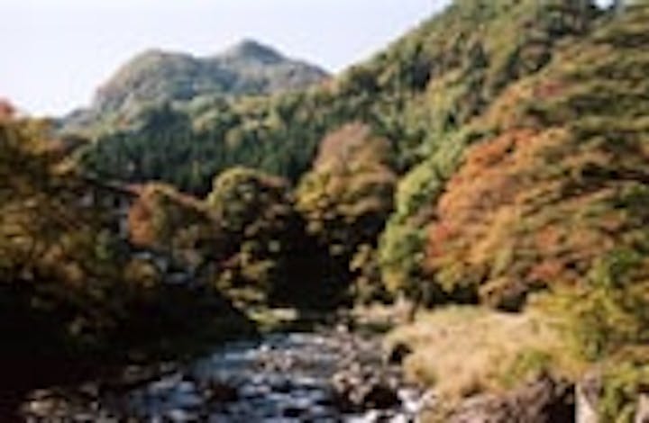 小原渓谷の紅葉