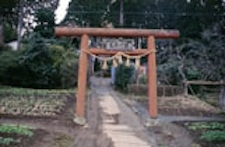 荒はばき神社