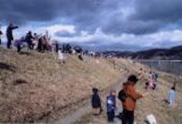 【2021年中止】とよま凧あげ大会