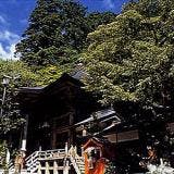 スポットの写真