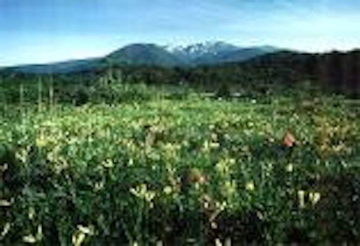 世界谷地原生花園自然歩道