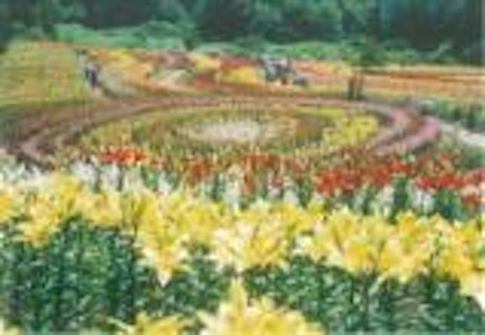 南くりこま高原一迫ゆり園