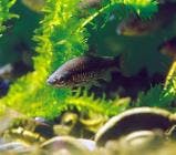 スポットの写真