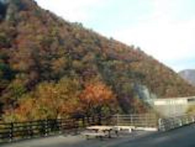 鳴子ダムの紅葉