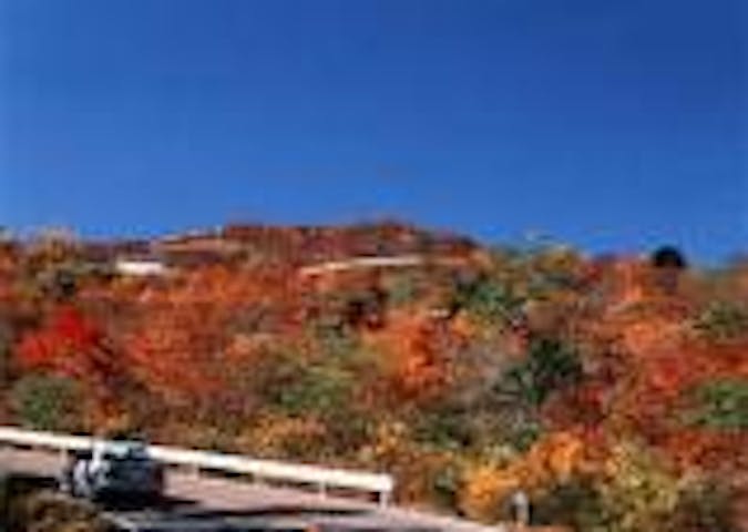 蔵王エコーラインの紅葉