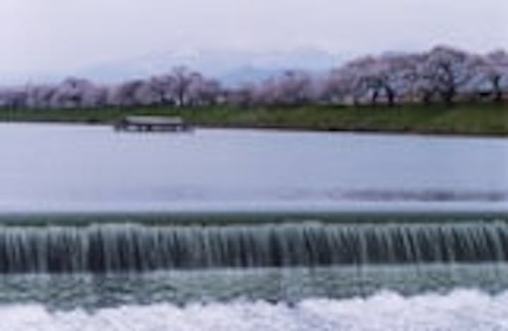 【2021年開催中止】おおがわら桜まつり