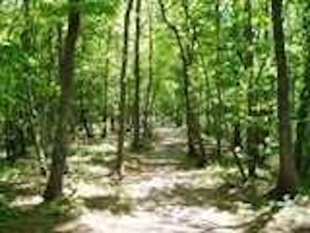 天狗森山遊歩道・大高山遊歩道