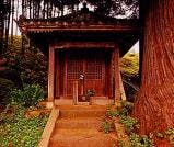 スポットの写真