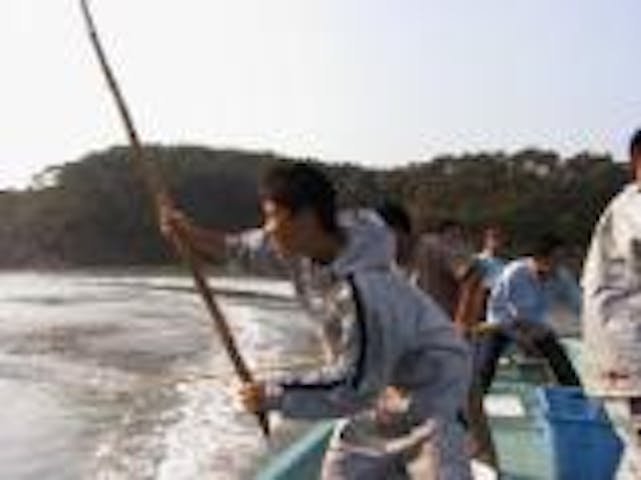 体験漁（追い込み漁・刺し網漁）