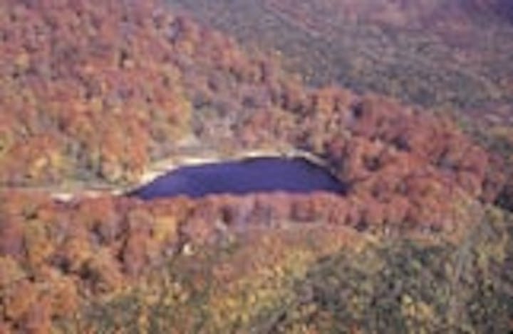 魚取沼鉄魚生息地