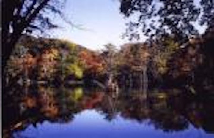 鈴沼（ルリ沼）