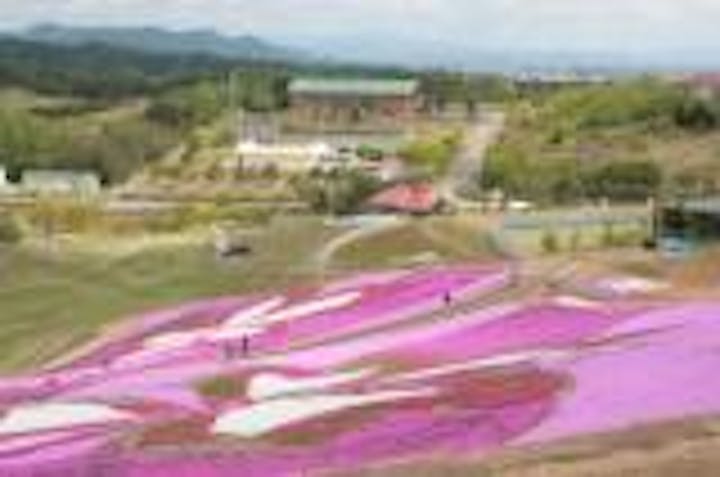 大森リゾート村