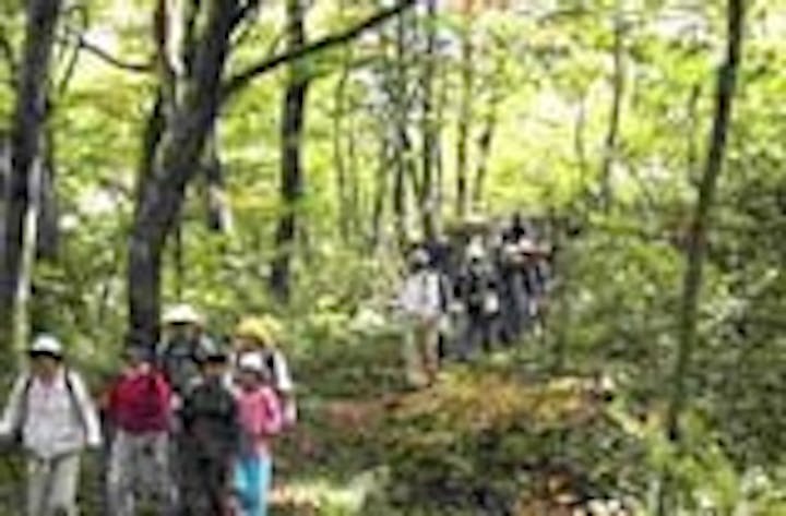 大里峠（越後米沢街道十三峠）