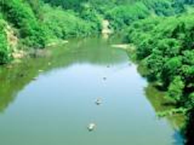 川前へら鮒つり