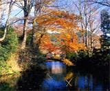 スポットの写真