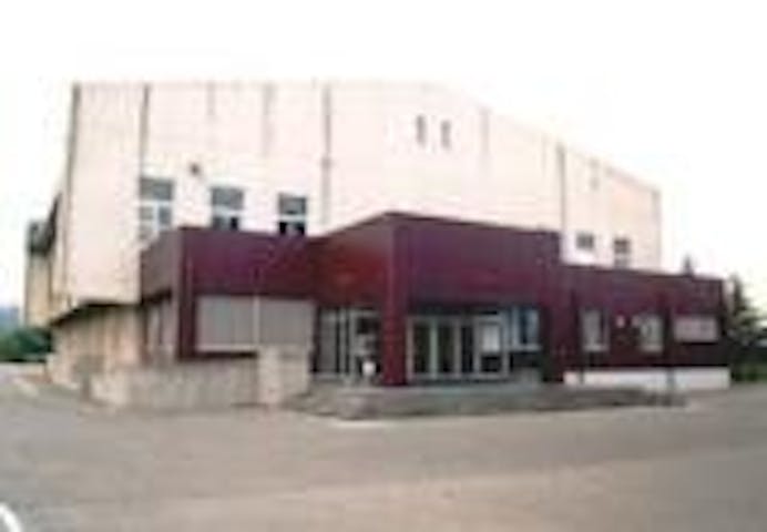 新鶴体育館（吹上総合運動場）