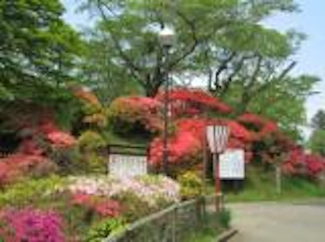 棚倉城跡のつつじ