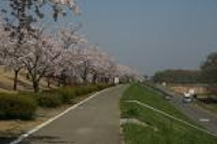 小貝川サイクリングロード