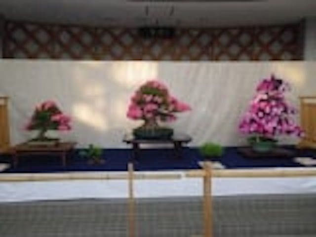 宇都宮さつき＆花フェア