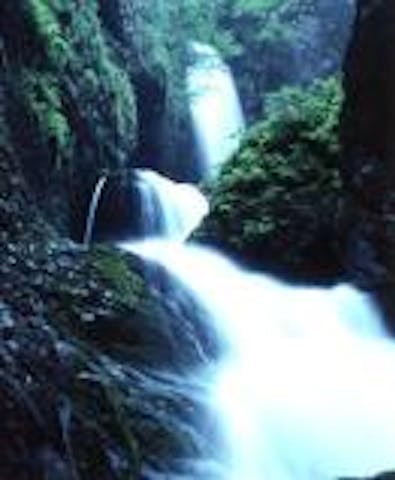 竜化の滝コース