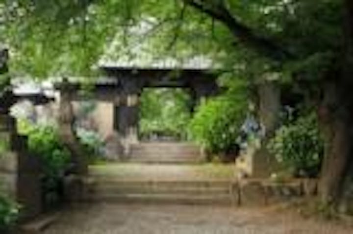 真光寺木彫狛犬・洪鐘