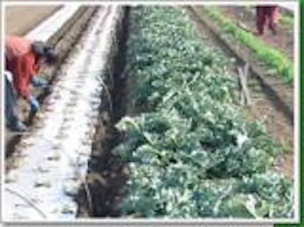 スポットの写真