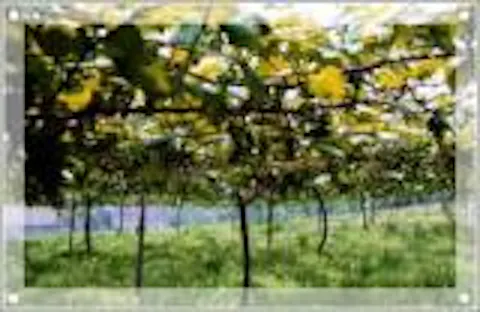 スポットの写真