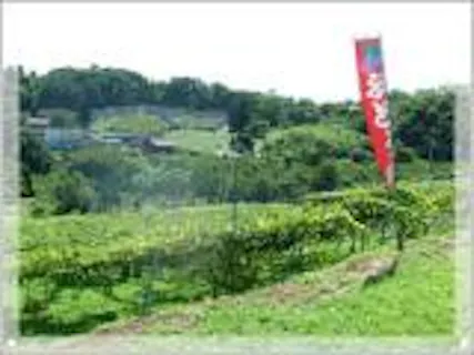 スポットの写真