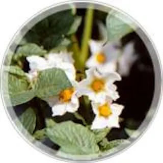 スポットの写真