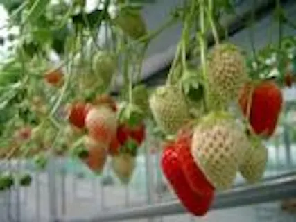 スポットの写真