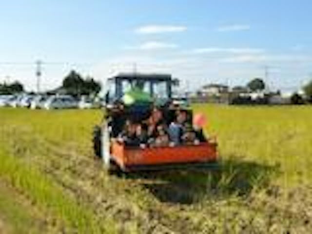 【2021年中止】なんばた青空市場