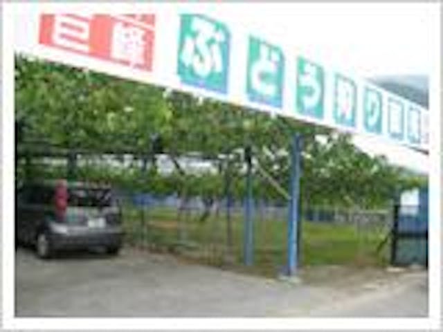 大東観光ぶどう園