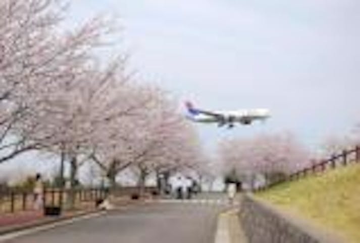 成田市さくらの山