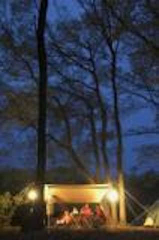 ホウリーウッズ久留里キャンプ村