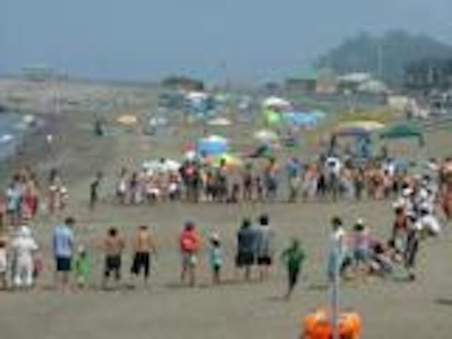 【2021年不開設】勝山海水浴場