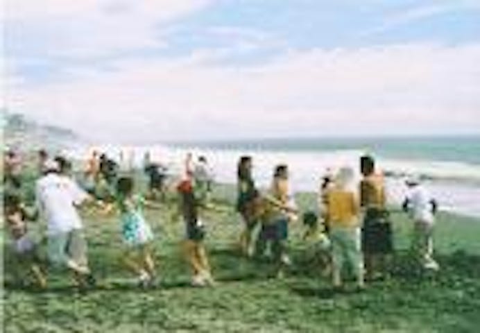 観光地引網秋山丸