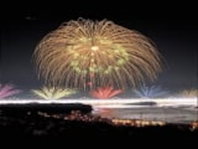 【2021年開催中止】長岡まつり大花火大会