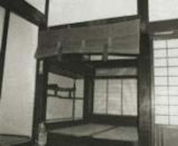 薬王寺のオハツキイチョウ雄株