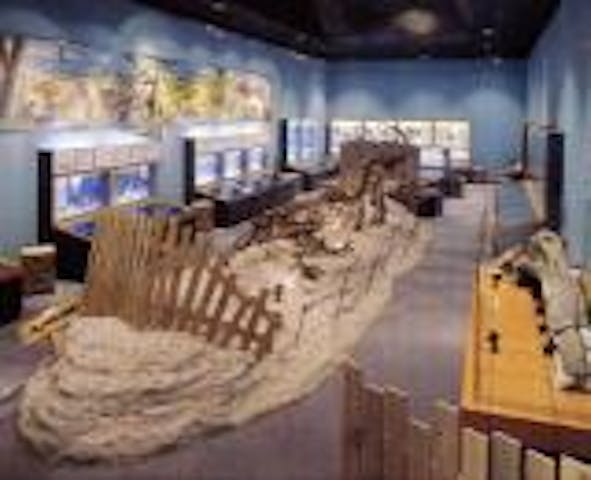 信州新町化石博物館