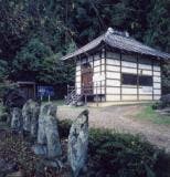 スポットの写真