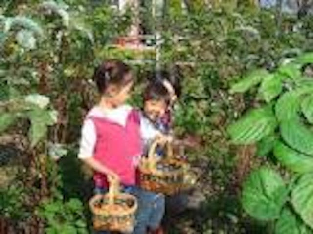 サンタベリーガーデン