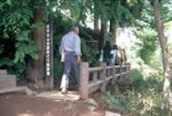 寺めぐり遊歩道