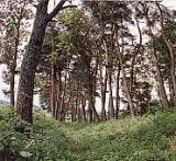 スポットの写真